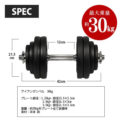 リーディングエッジ(LeadingEdge)のアイアンダンベルを使い続けた 