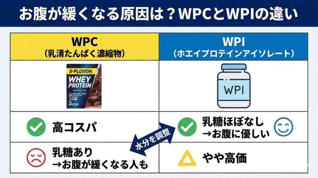 プロテインのWPCとWPIどちらがいい？