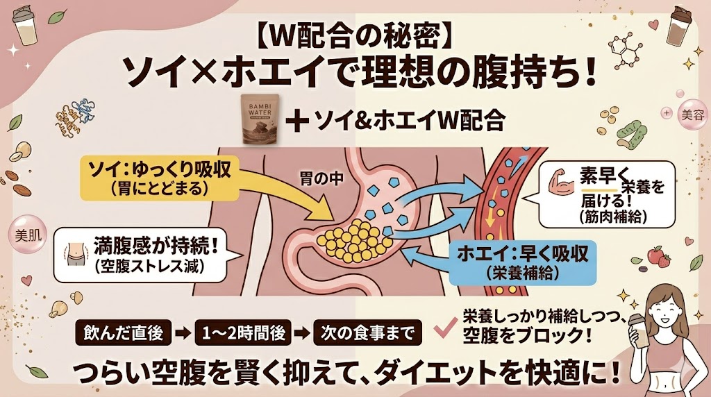 ソイとホエイのW配合で腹持ちが良く空腹を防げる